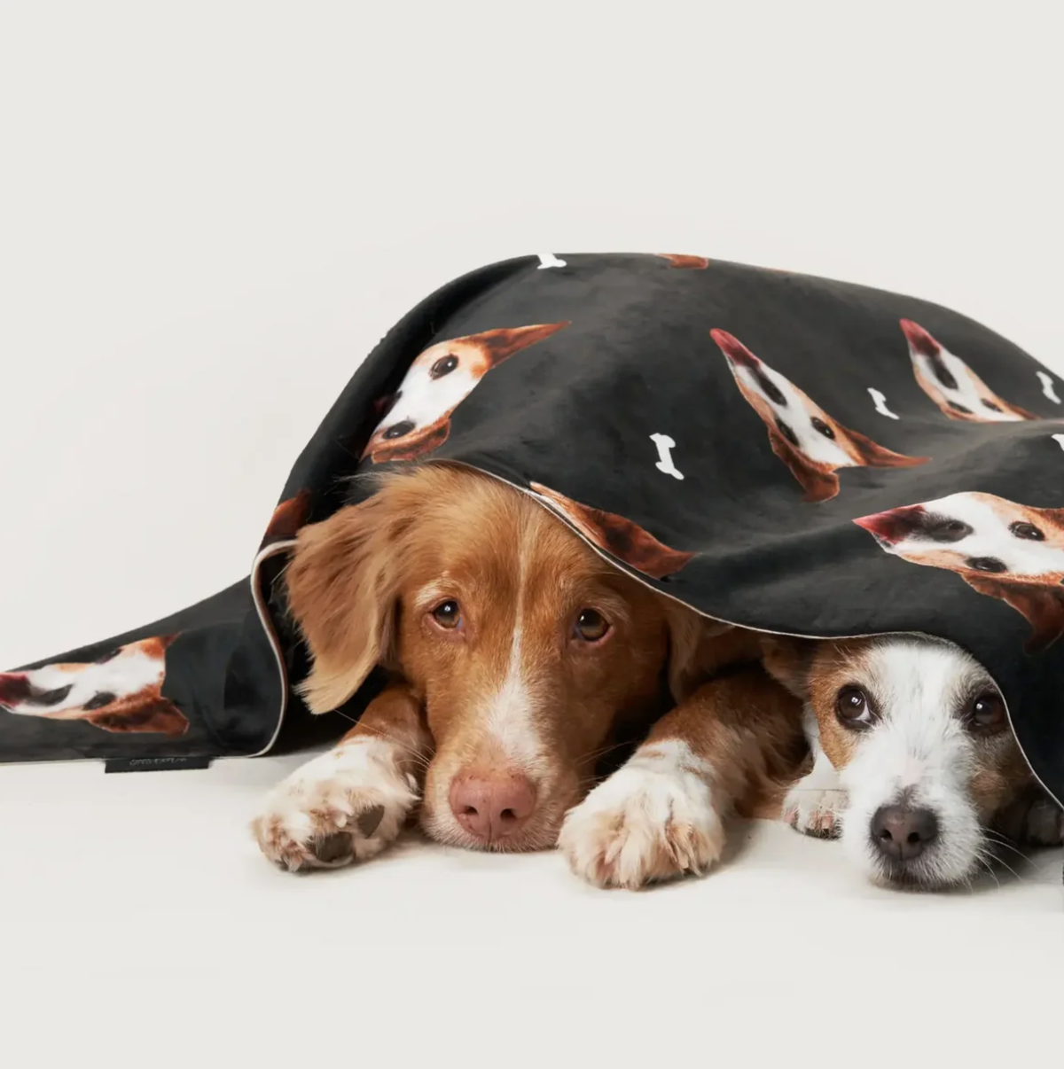 Due cani sdraiati sotto una coperta personalizzata con teste di animali su nero.
