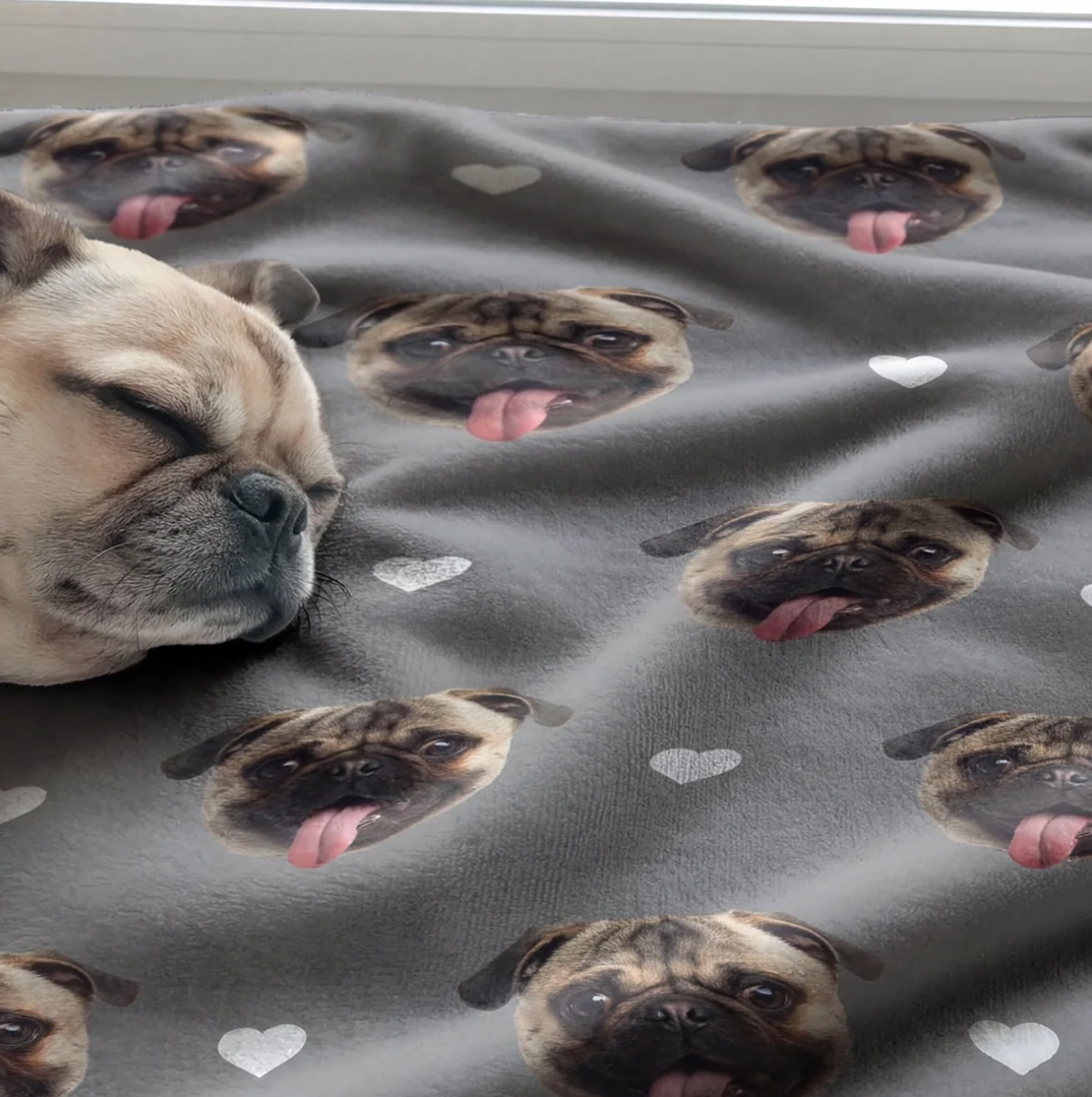 Coperta grigia stampata con teste di carlino e cuori, ideale per animali.