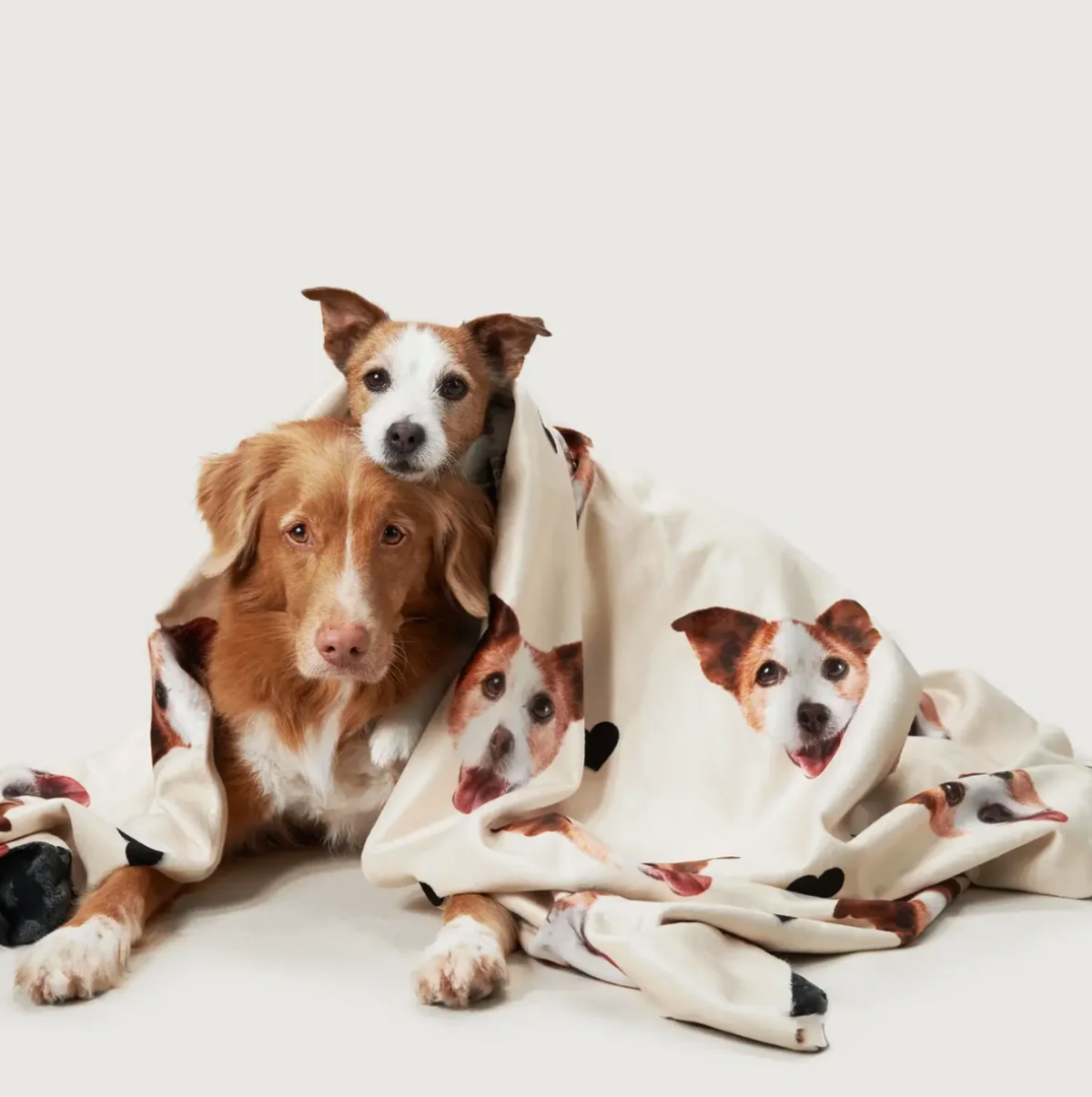 Coperta beige personalizzata con teste di animali, avvolta intorno a due cani.
