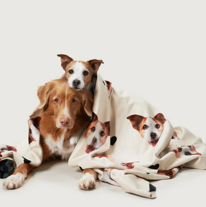 Coperta beige personalizzata con teste di animali, avvolta intorno a due cani.