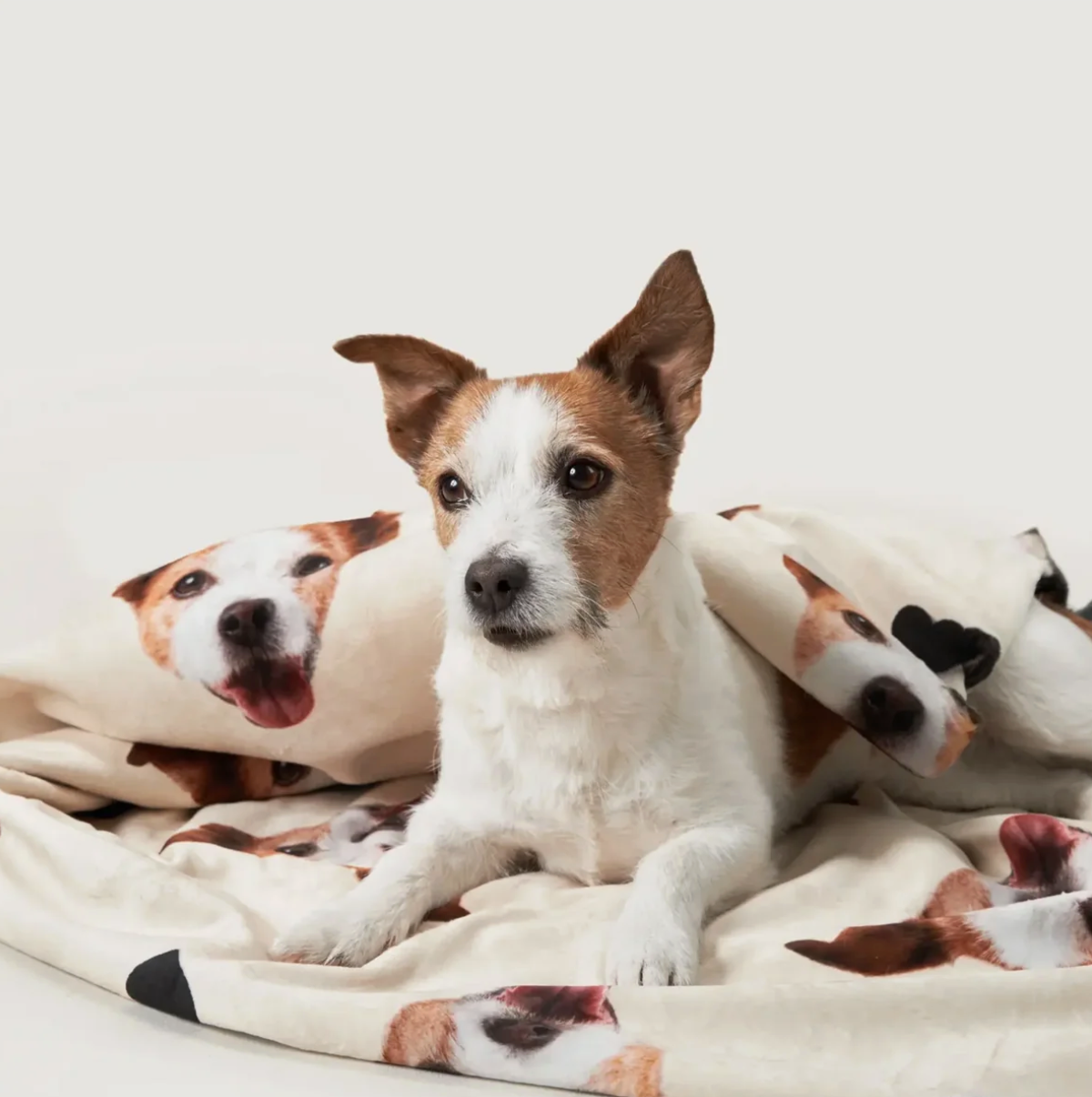 Coperta personalizzata con foto di cani, sfondo color crema e materiale morbido. Cane sdraiato sopra.