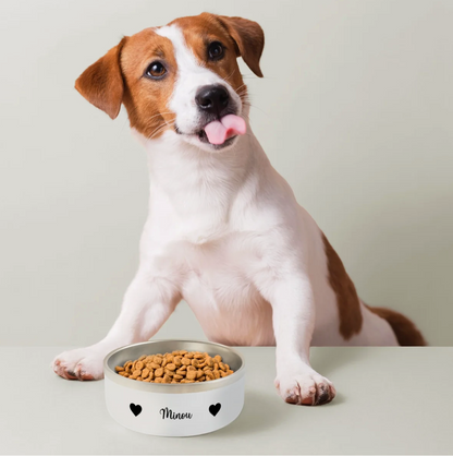 Ciotola per cani in ceramica con scritta "Minou" e crocchette. Un cane seduto davanti si lecca il muso.