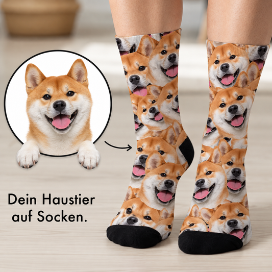 Calzini personalizzati con fantasia fotografica di shiba inu su sfondo bianco.