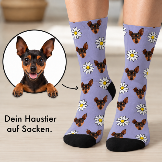 Calzini personalizzati con sfondo lilla, stampati con musetti di cani e fiori.