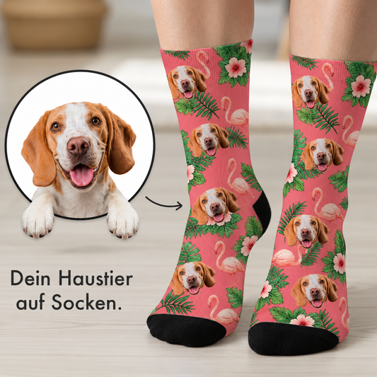 Calzini personalizzati con colorato design di beagle, sfondo rosa con fenicotteri e foglie.