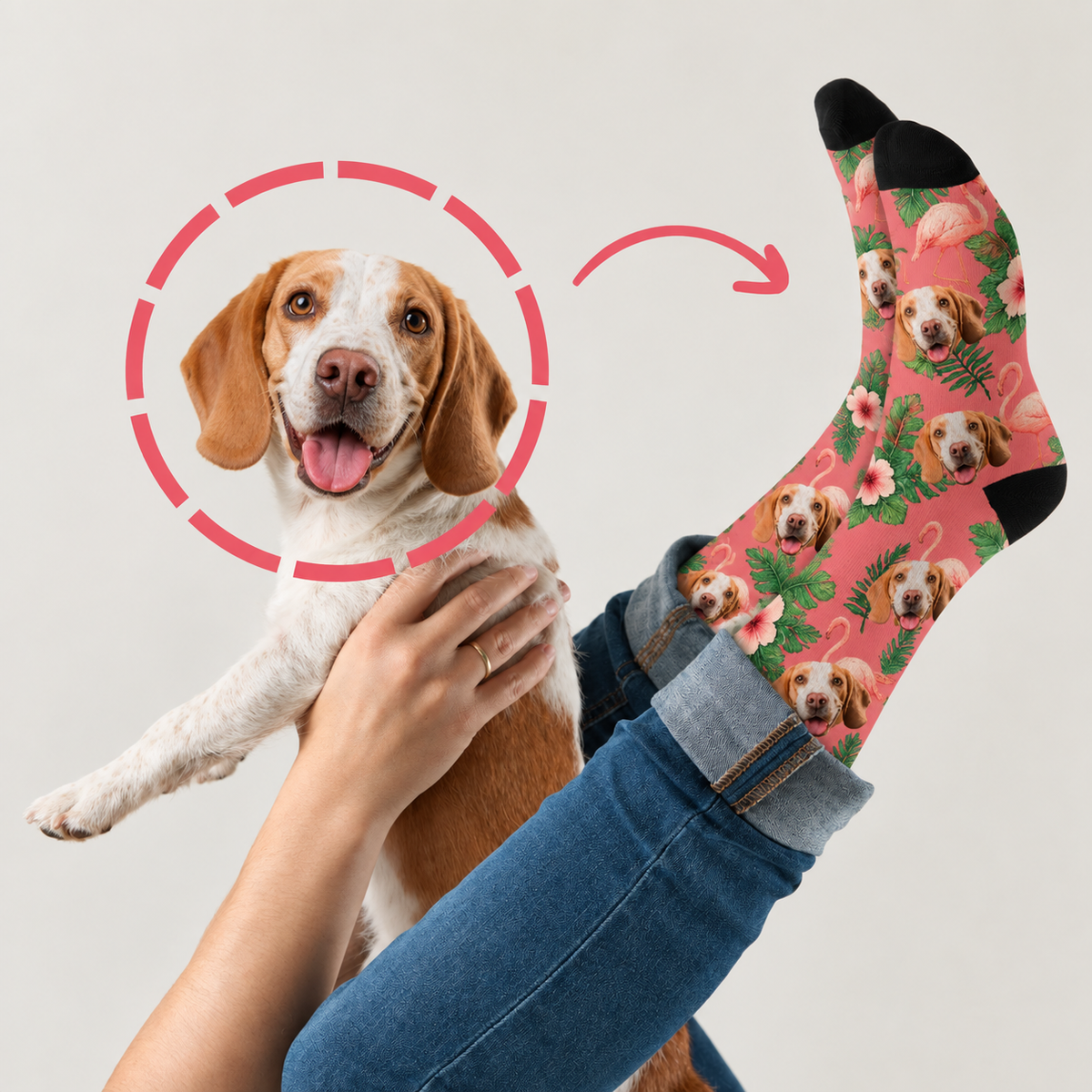 Calzini personalizzati con colorato design uccello del paradiso, sfondo rosa e motivi di cani. Misto cotone.