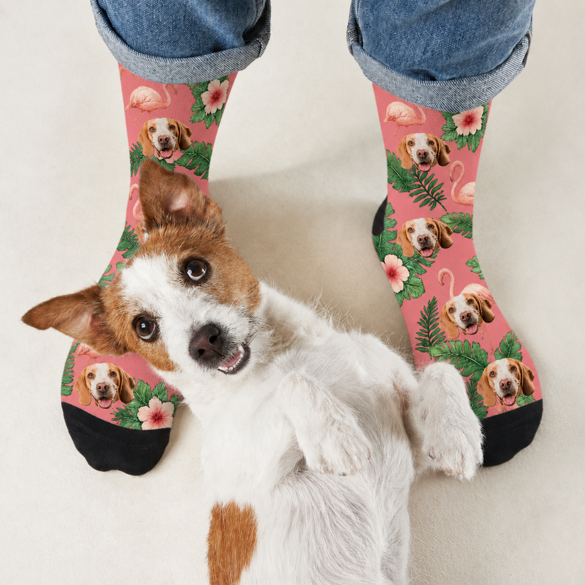 Calzini personalizzati con motivi di cani e fenicotteri su sfondo rosa, bordati di nero.