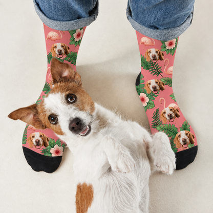 Calzini personalizzati con motivi di cani e fenicotteri su sfondo rosa, bordati di nero.