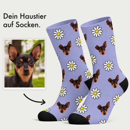 Calzini personalizzati con sfondo lilla, fantasia floreale e musetti di cani. Cotone.