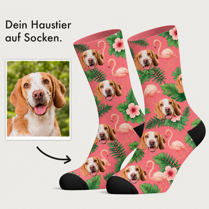 Calzini personalizzati con motivo di cane, sfondo rosa e fiori tropicali.
