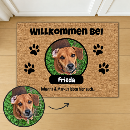 Zerbino in cocco personalizzato con il nome Frieda e foto di cani. Marrone, cornice ovale.