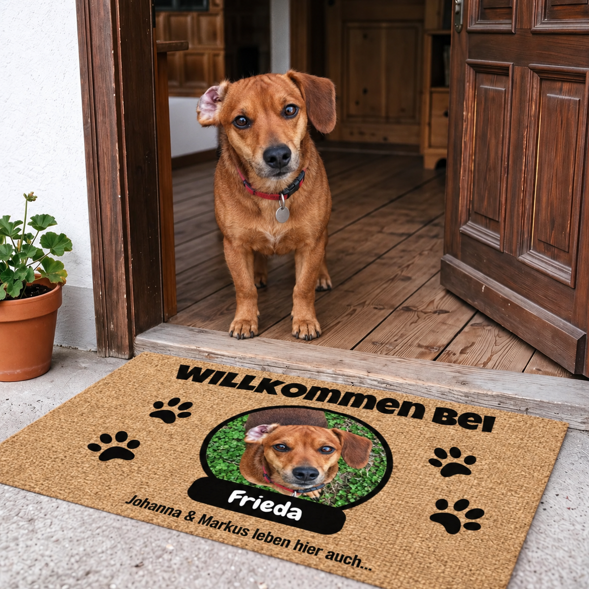 Zerbino personalizzato in materiali naturali con foto e targhetta nome per animali.
