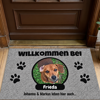 Zerbino grigio personalizzato con foto di un cane e targhetta nome con testo nero.