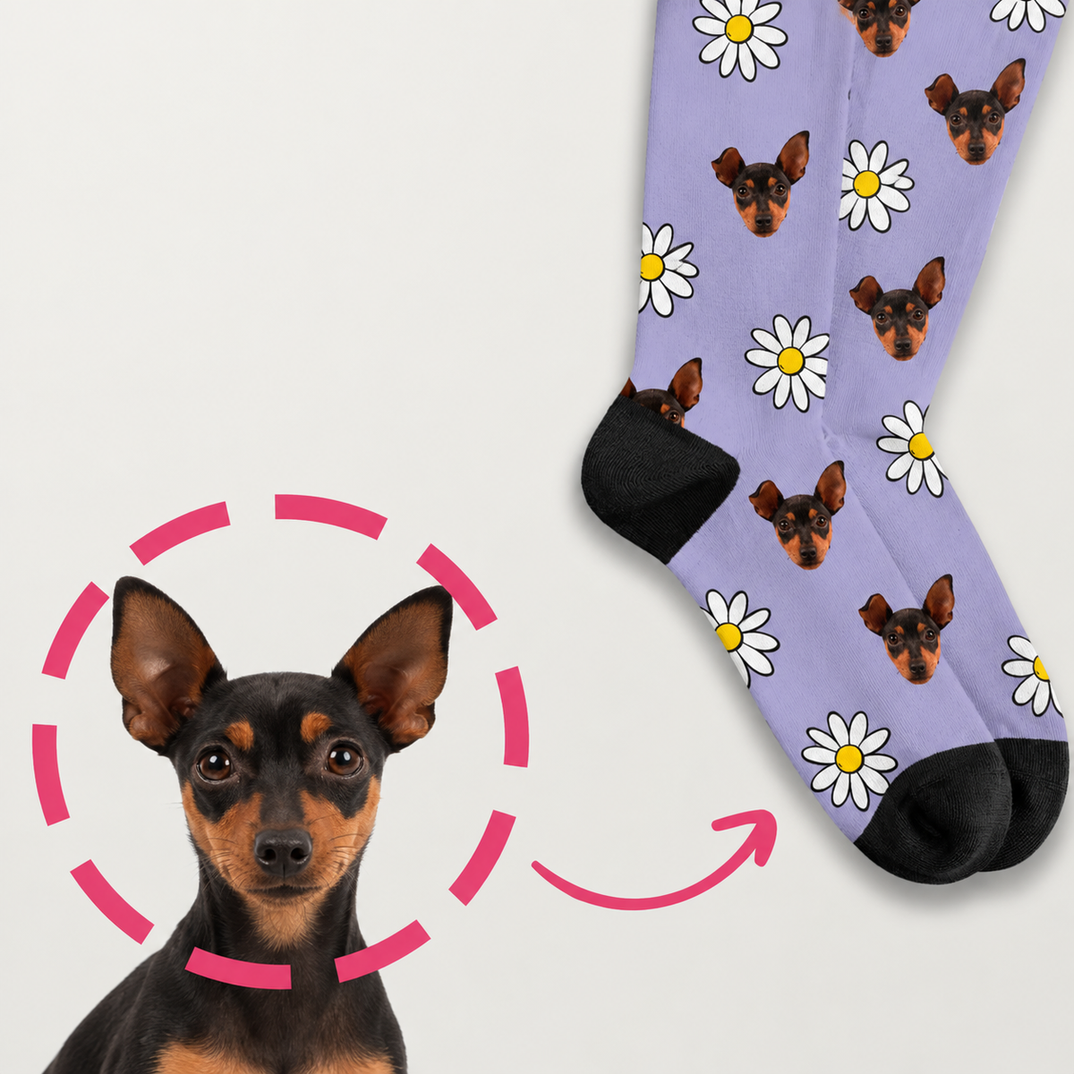 Calzini personalizzati con sfondo lilla, stampati con cani e fiori bianchi.
