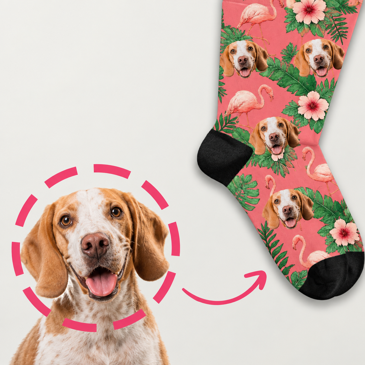 Calzini personalizzati con fantasia colorata di uccelli del paradiso e cani. Motivi floreali colorati su sfondo rosa.