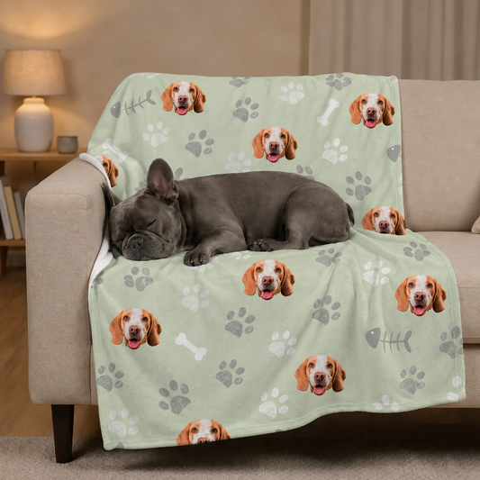 Coperta per animali con sfondo verde menta, stampata con cani e impronte, su un divano.