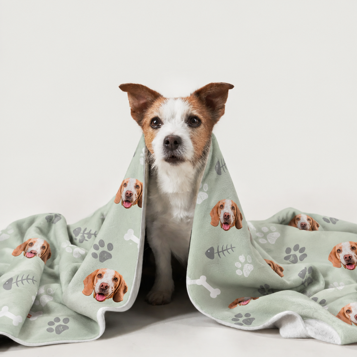 Cane avvolto in una coperta personalizzata con motivi di cani su sfondo verde.
