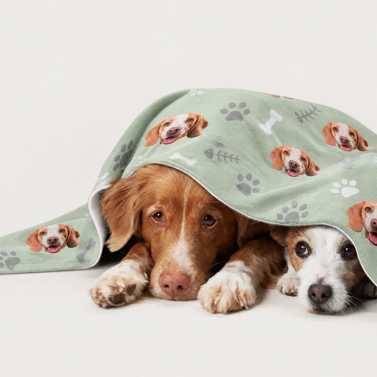 Due cani sdraiati sotto una coperta personalizzata verde pastello con motivi di cani.