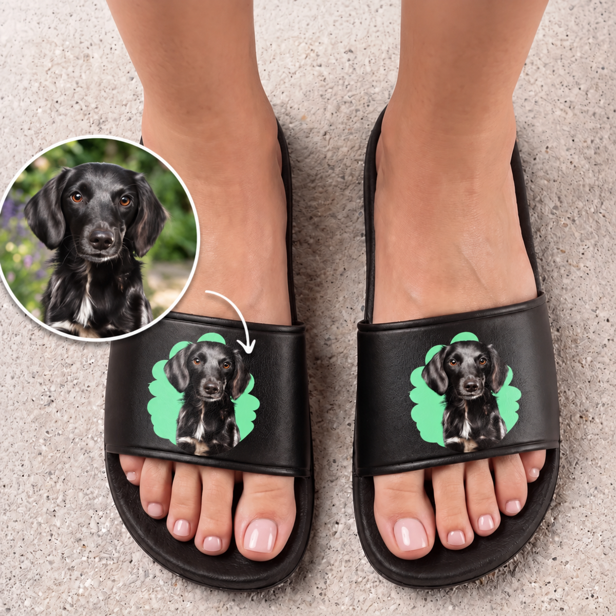 Ciabatte nere con illustrazione di cane personalizzata sulla parte superiore.