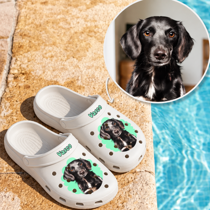 Zoccoli bianchi con ritratto di cane e il nome "Vasco" su grafica di sfondo verde.